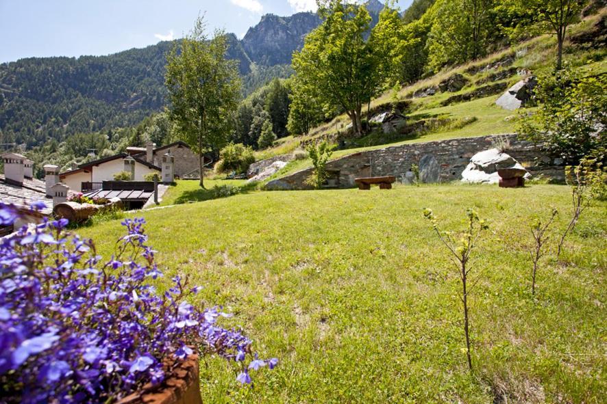 B&B A Pankeo Valtournenche Zewnętrze zdjęcie